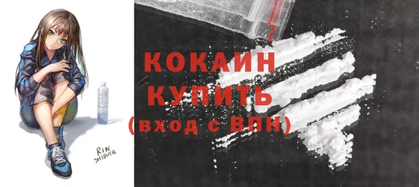шишки Белокуриха