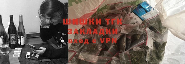 шишки Белокуриха