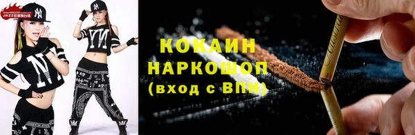 тгк Богородицк