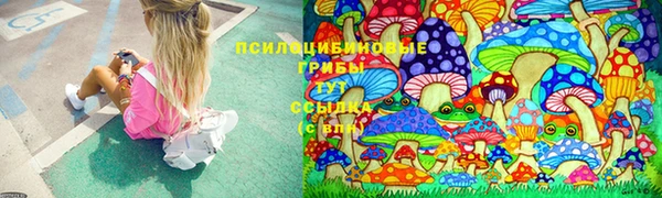 гашик Богородск