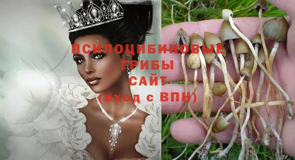 тгк Богородицк
