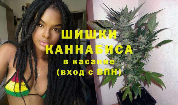 шишки Белокуриха