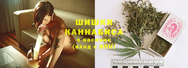 гашик Богородск