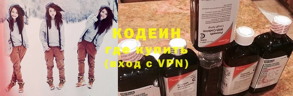 шишки Белокуриха