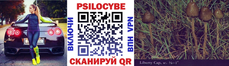 Псилоцибиновые грибы прущие грибы  закладки  Бугульма 